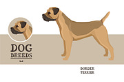 Dog breeds Border Terrier, an Object Graphic by Nenilkime (Thumbnail 1 of 3)