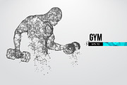 Silhouettes of a bodybuilder, GYM, a Healthcare Illustration by Matrosovv (Thumbnail 3 of 4)