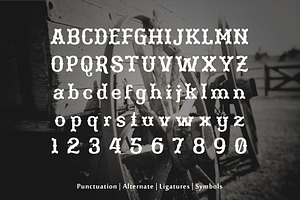 76 Fonts In 1 Font Collection