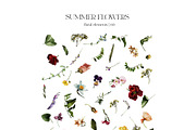 Field Flowers Watercolour Clipart, a Decorative Illustration by whiteheartdesign (Thumbnail 15 of 20)