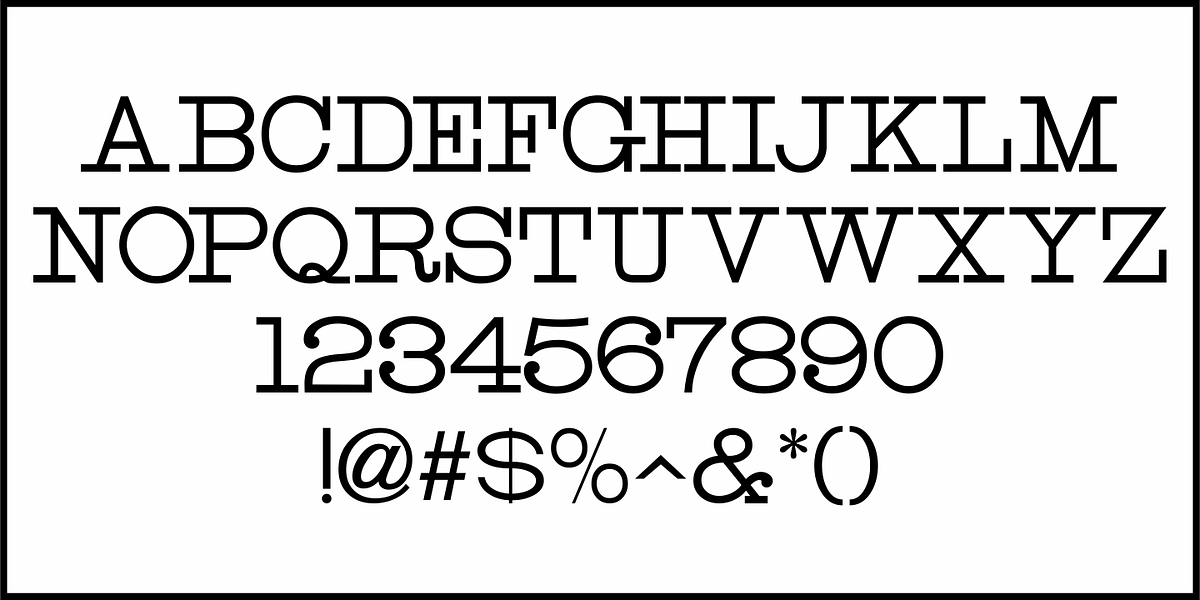 Page Printer JNL, a Serif Font by Jeff Levine Fonts (Photo 3 of 5)