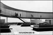 Fujifilm Black and White Film LUTs, a Plug-in Add-On by Raztrend (Thumbnail 2 of 30)