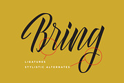 Delphin Spring - Vintage Script, a Script Font by Konstantine Studio (Thumbnail 8 of 9)