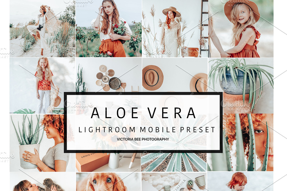 5 Mobile Presets ALOE VERA, an Action Add-On by Victoria Bee Presets (Photo 1 of 10)