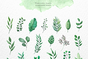 Watercolor Foliage Set, a Decorative Illustration by kate_illustration (Thumbnail 4 of 6)