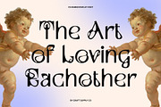 Rumer – Melted Sans Serif, a Sans Serif Font by Craft Supply Co. (Thumbnail 5 of 8)