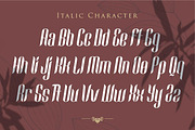 Looqie | Beauty Display Font, a Script Font by Gilar Studio (Thumbnail 9 of 13)