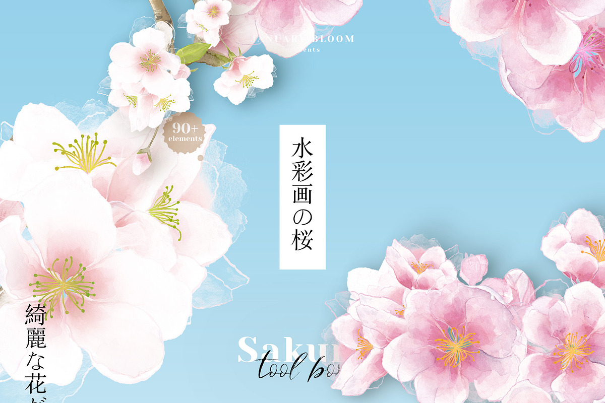 Sakura | Cherry Blossom Florals, an Illustration by January Bloom (Photo 1 of 11)