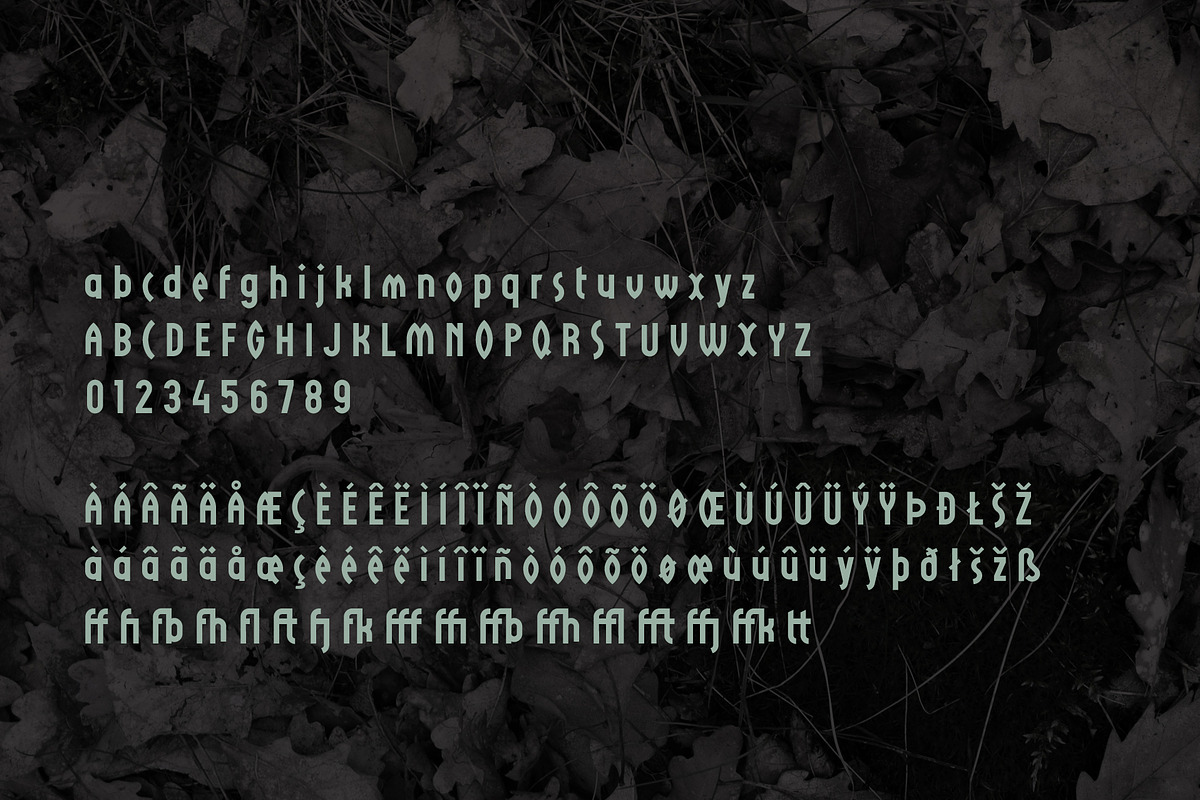 VIKINGAR display font, a Sans Serif Font by Lilli Jemska Studio (Photo 3 of 10)