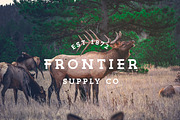 The Vintage Font Bundle, a Slab Serif Font by Zone 6 (Thumbnail 6 of 8)
