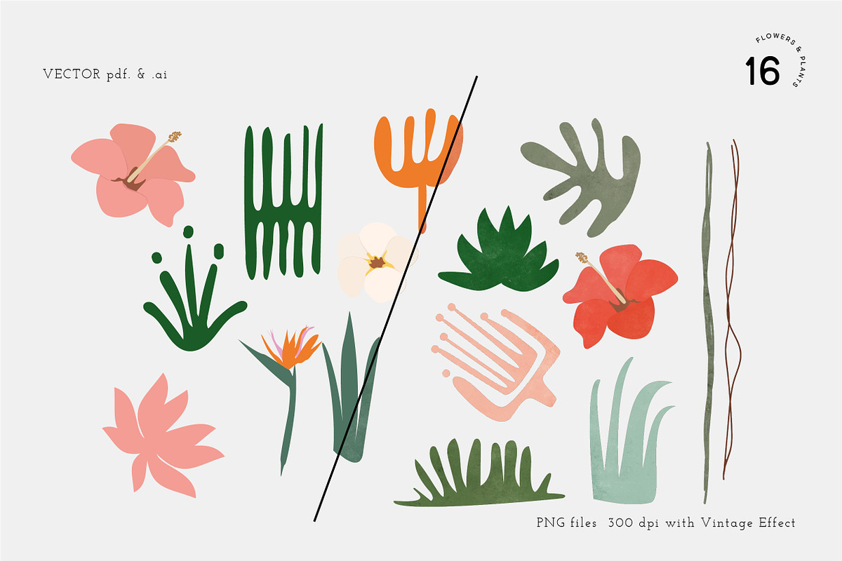 TROPICAL FOREST JUNGLE LEAVES, an Illustration by All This Concept (Photo 6 of 10)