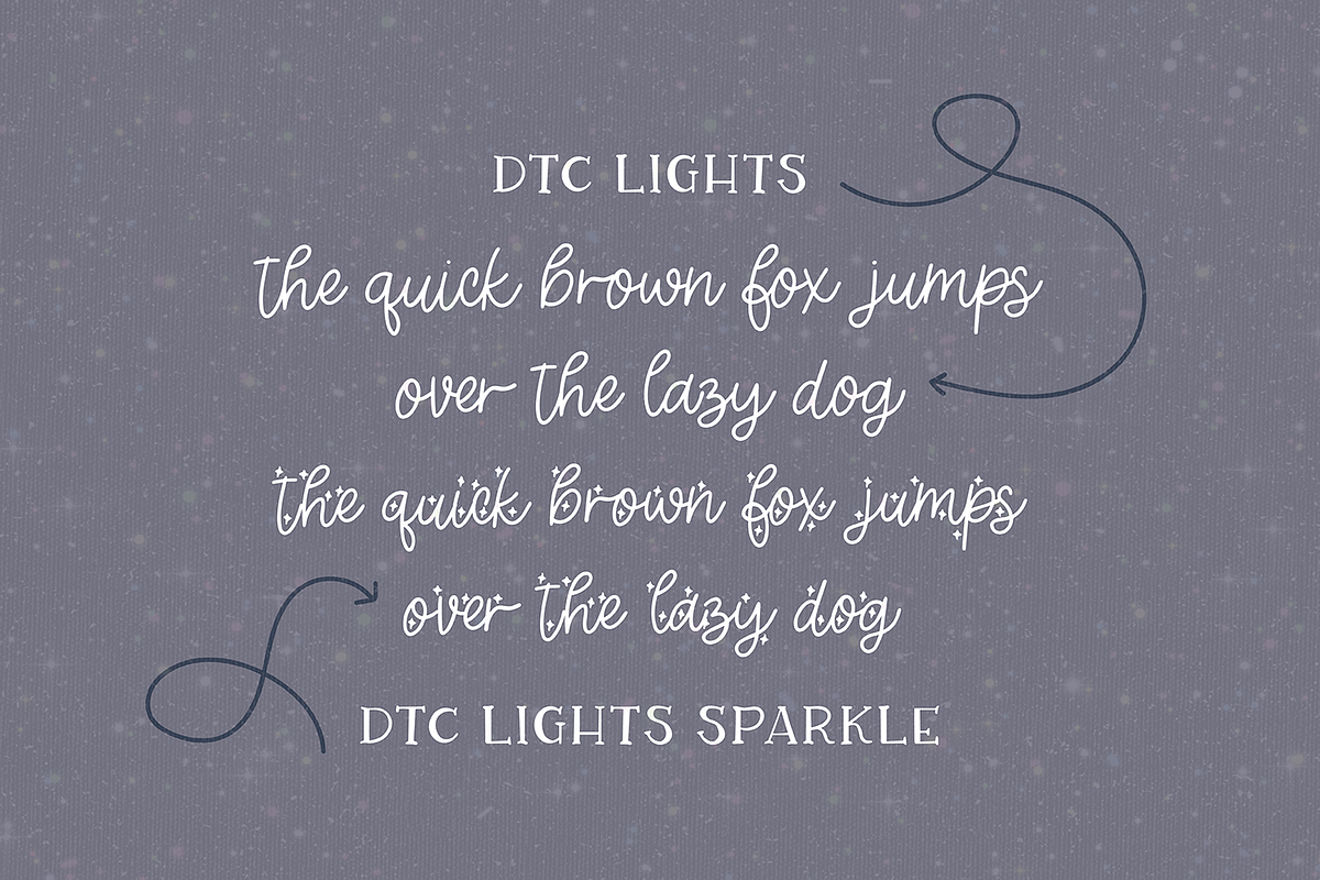 LIGHTS a Sparkling Script, a Script Font by Blush Font Co. (Photo 5 of 6)