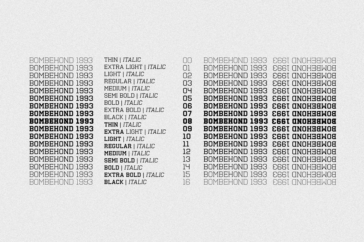 Bombehond 1993, a Sans Serif Font by OWL KING (Photo 7 of 9)