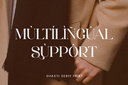 Shasti - Elegant Serif Font, a Serif Font by Aqeel_Art (Thumbnail 9 of 12)