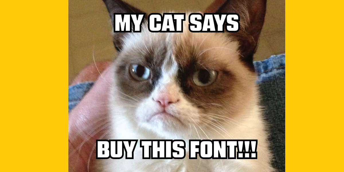 Blunt, a Sans Serif Font by Miller Type Foundry (Photo 10 of 10)