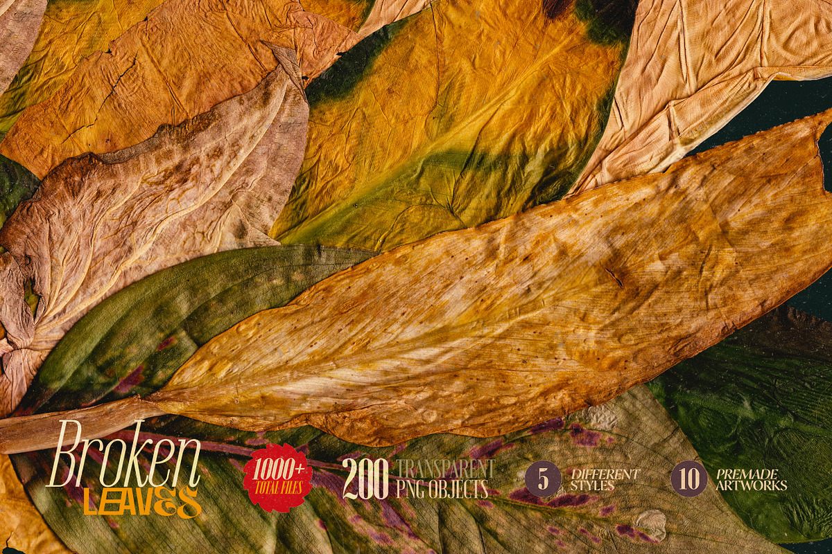 Broken Leaves 200 Transparent Object, an Object Graphic by nicholasasmita (Photo 10 of 15)