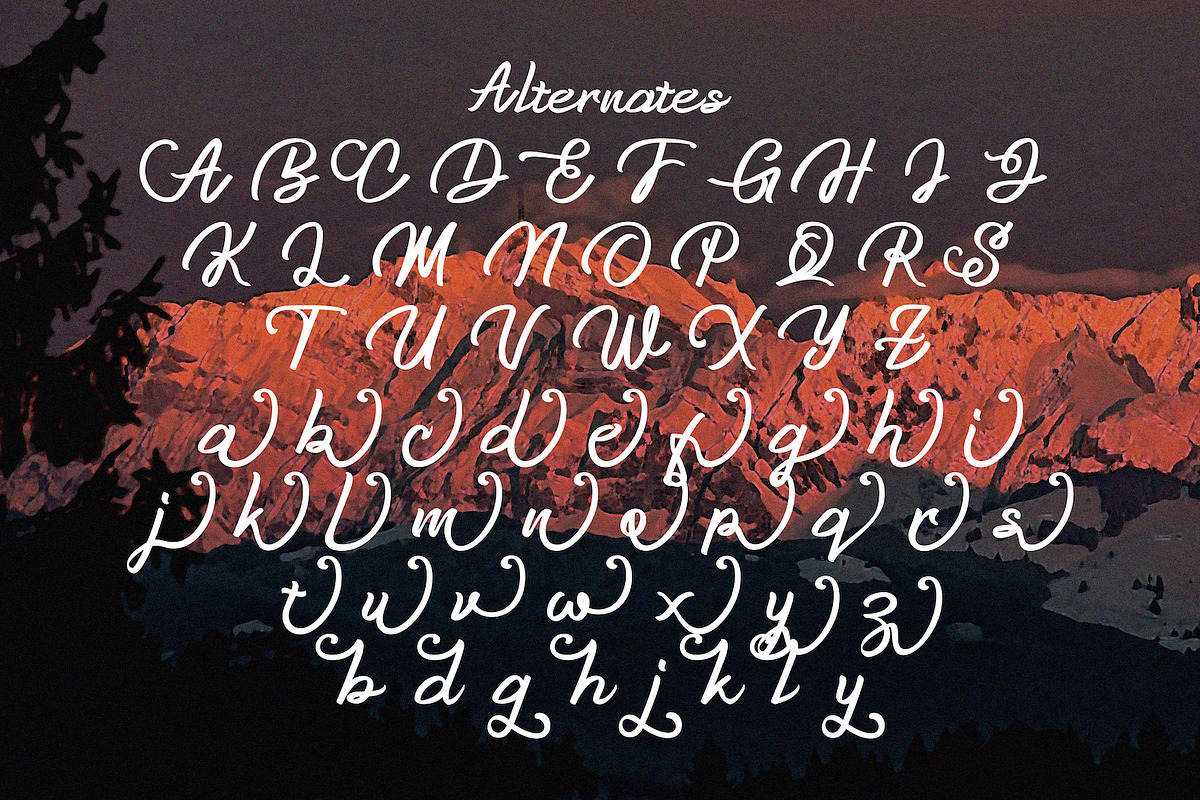 Anzim - Signature Script Font, a Script Font by StringLabs (Photo 10 of 11)