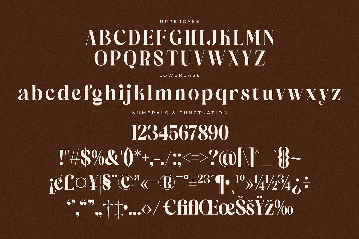 Copeland New Modern Serif Font, a Serif Font by Storytype Studio (Photo 13 of 15)