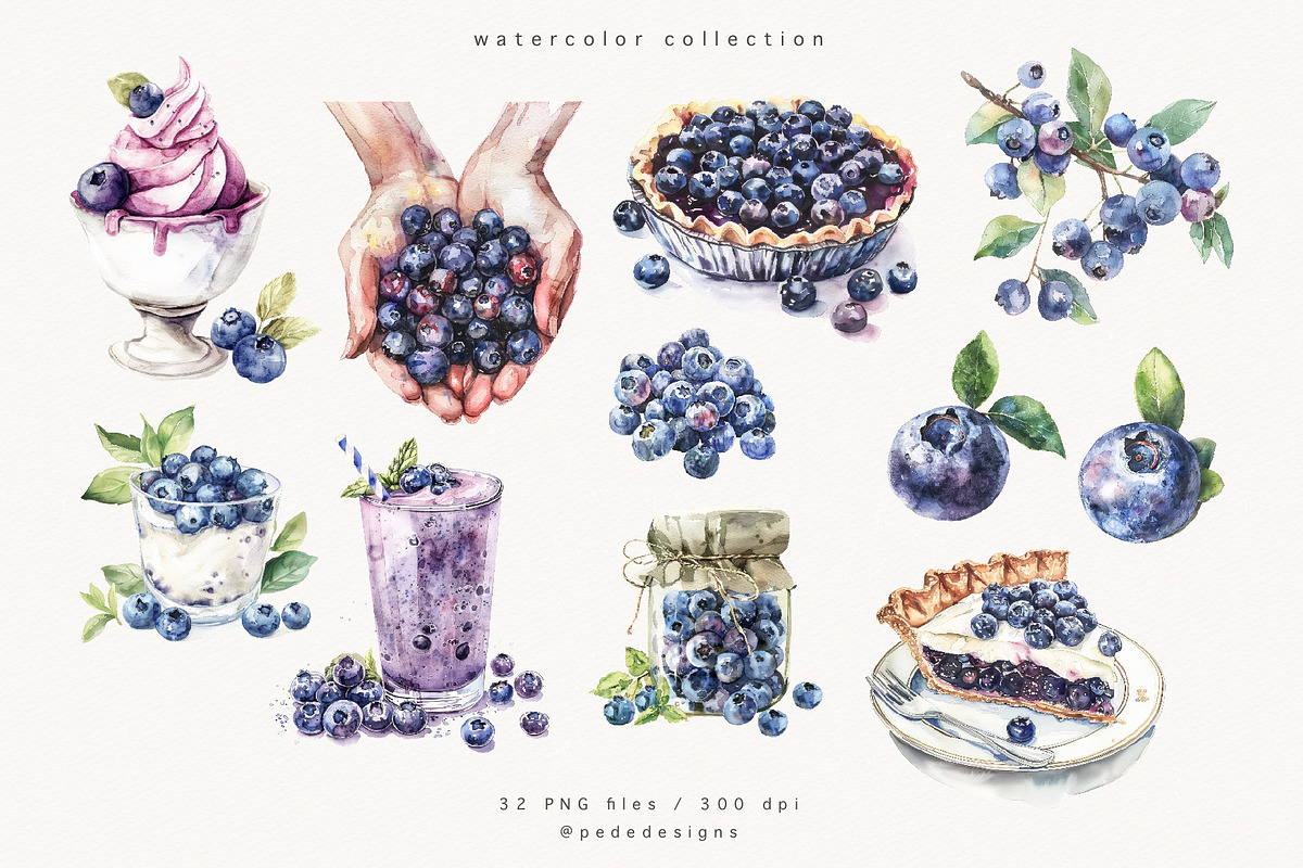 Watercolor Blueberries, a Food Illustration by PeDe Designs (Photo 3 of 4)