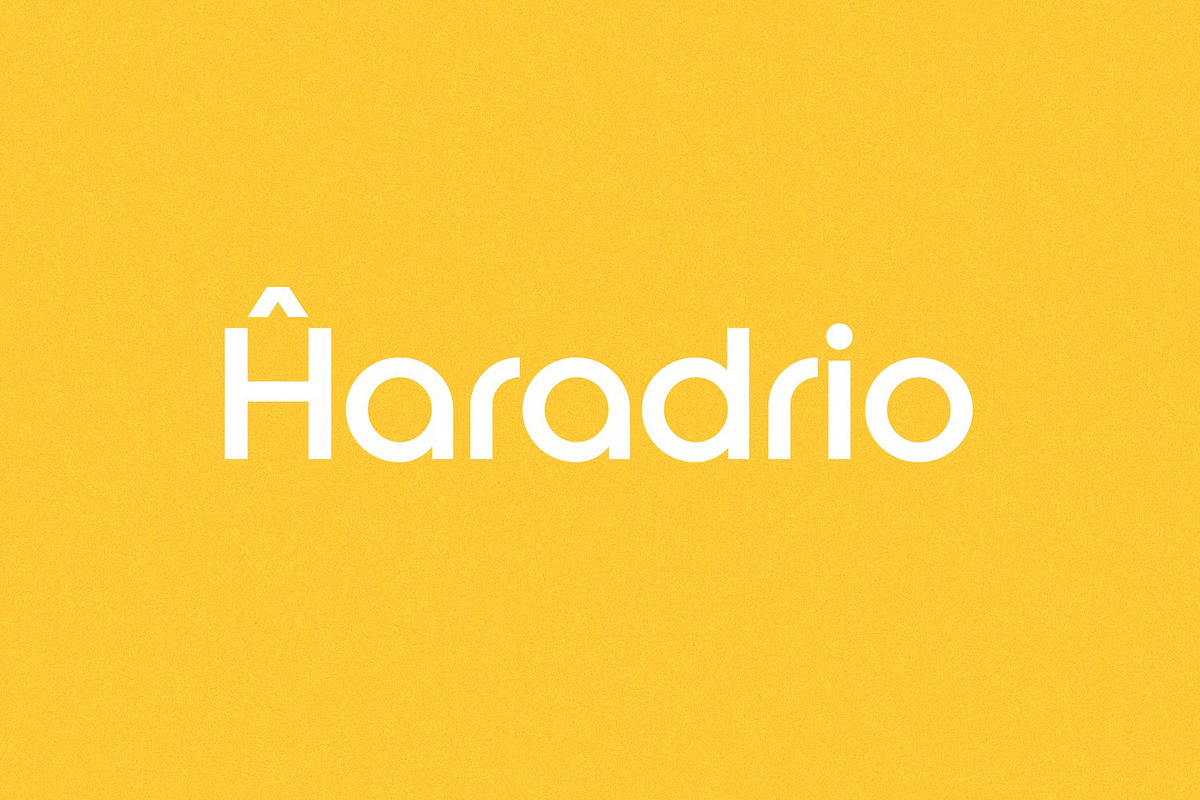 Roie Logo Font, a Sans Serif Font by Shina Design (Photo 7 of 8)