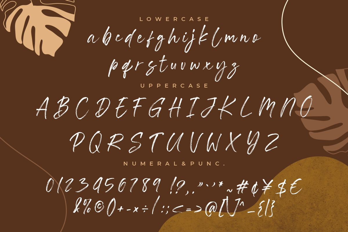 Southwell Brush Script, a Script Font by Creatype Studio (Photo 8 of 9)