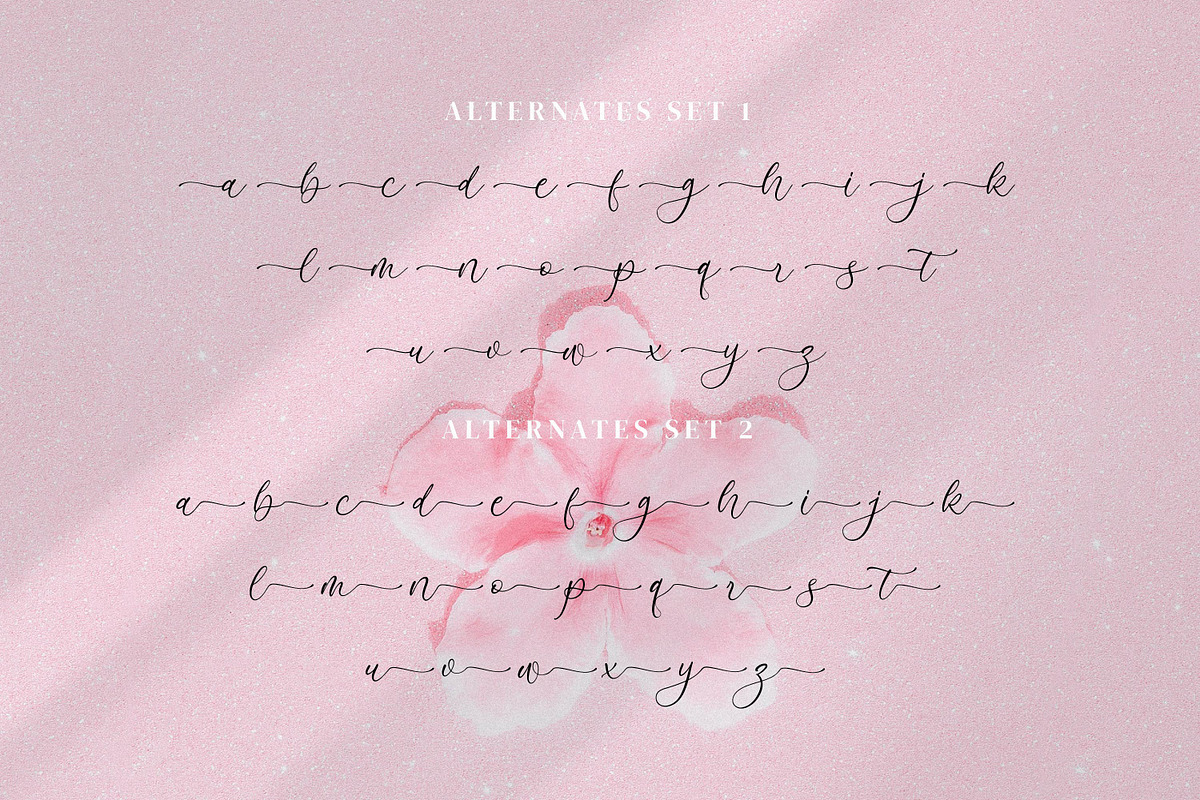 Azelly Vellyne, a Script Font by Integritype Studio (Photo 11 of 15)