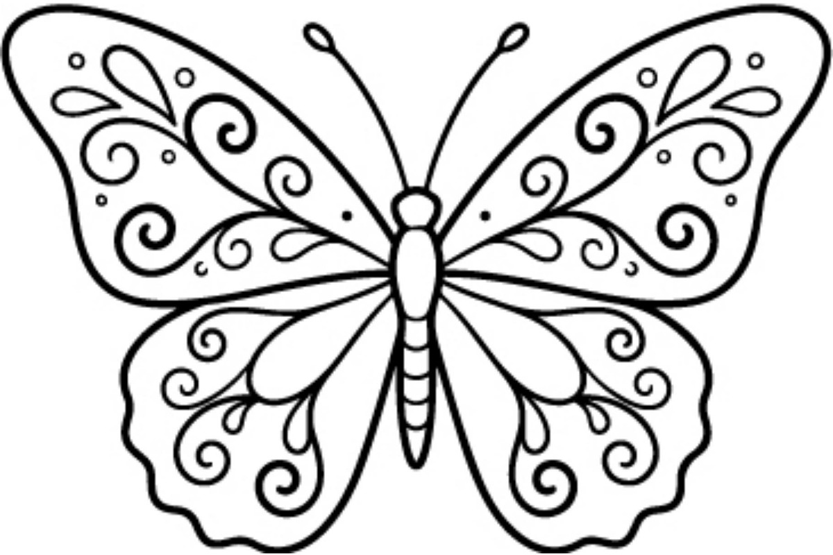 Butterfly SVG Bundle, an Object Graphic by Gfx_Store (Photo 30 of 32)