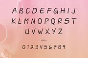Darla Handwritten Script, a Script Font by Parker Creative (Thumbnail 5 of 5)