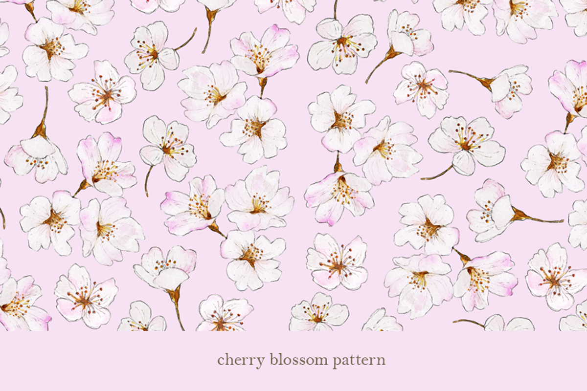 Watercolour Sakura Drawing Set, an Illustration by elpple (Photo 4 of 4)