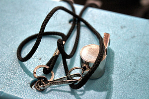 Coaches Whistle