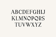Palindrome Elegant Serif Font, a Serif Font by UICreative (Thumbnail 7 of 13)