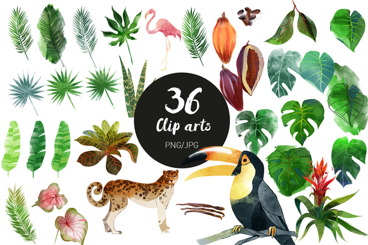 Tropic set, a Decorative Illustration by Tatiana Davidova (Photo 2 of 3)
