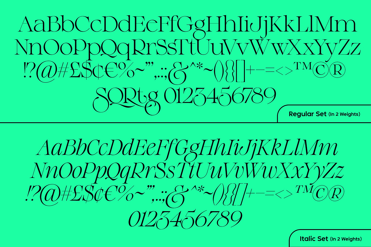 The Regals Serif Font, a Serif Font by Sam Parrett (Photo 13 of 14)