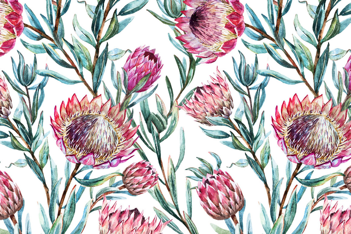 Watercolor Flower Protea, an Illustration by Lembrik's Artworks (Photo 4 of 5)