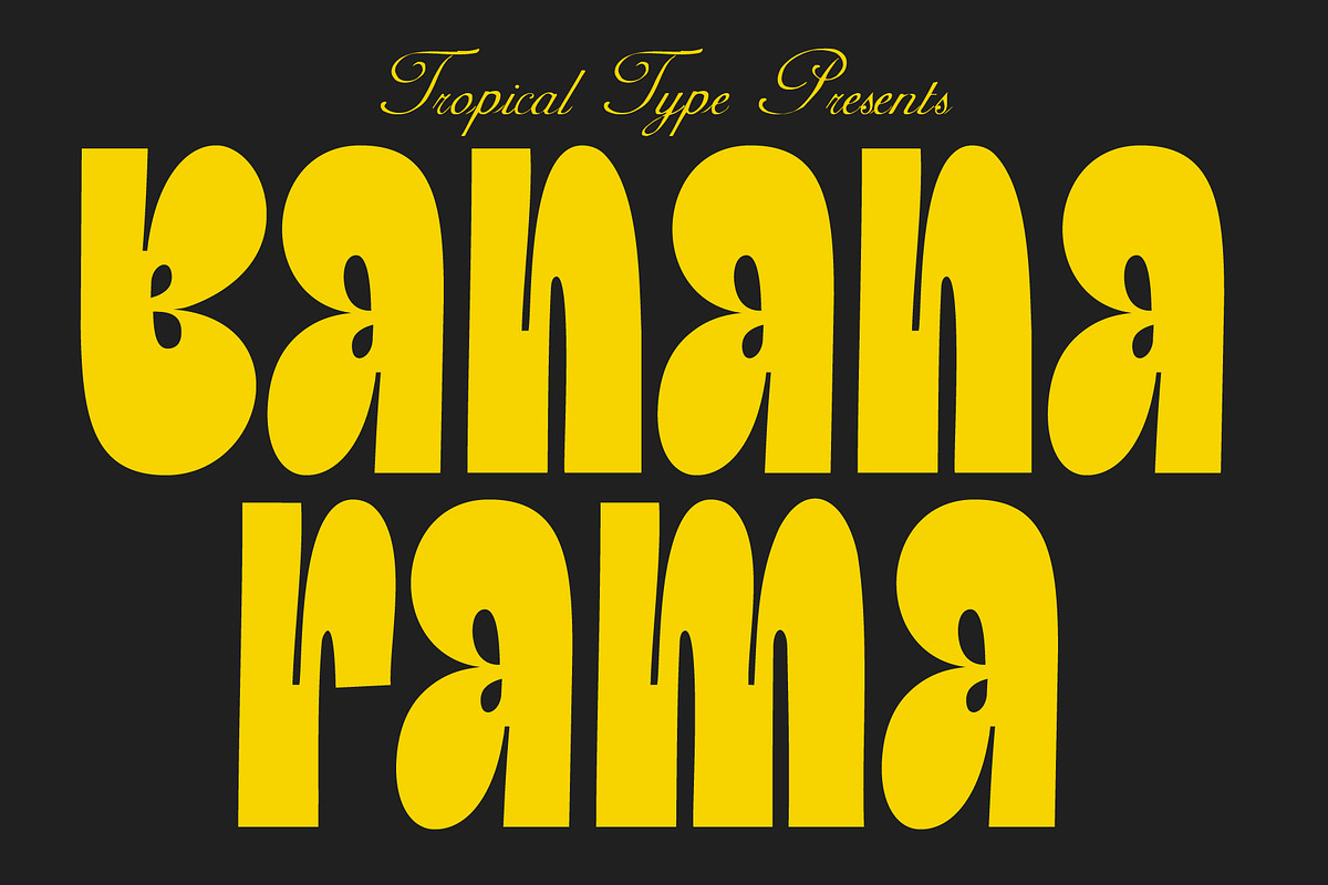 Display Font Collection, a Slab Serif Font by Tropical Type (Photo 19 of 46)
