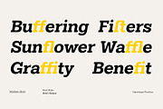 Midles Slab, a Slab Serif Font by Attract Studio (Thumbnail 4 of 15)