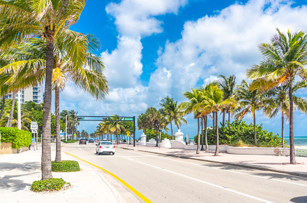 Seafront beach promenade with palm, an Architecture Photo by Maria Kray
