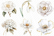 White Floral Clipart, an Illustration by Watercolor design (Thumbnail 3 of 12)