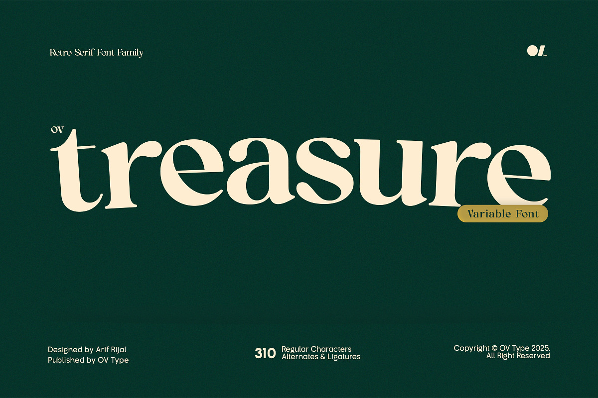 OV Treasure Retro Serif Font Family, a Serif Font by OV Type (Photo 1 of 21)