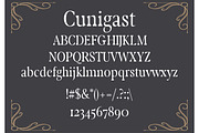 Cunigast Gothic Font, a Blackletter Font by DmDesignsStoreArt (Thumbnail 2 of 2)