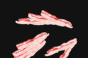 BACON SLICES WATERCOLOR, a Food Illustration by wedraw (Thumbnail 3 of 3)