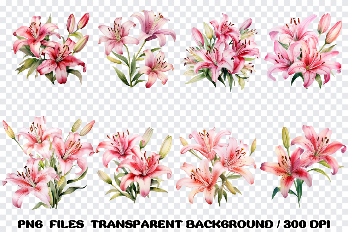 Pink Lily Flowers Watercolor Clipart, an Illustration by SindyPrintDesign (Photo 3 of 3)