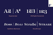 Imagist Intro Super Sale!, a Serif Font by Fenotype (Thumbnail 8 of 10)