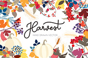 Harvest hand drawn in Fall / Autumn, a Decorative Illustration by MooBeer (Thumbnail 1 of 5)