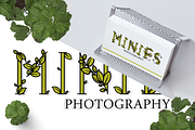 Leaphabet, a Serif Font by Kris Davie (Thumbnail 9 of 10)