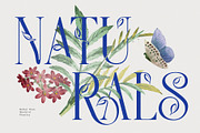Gamory Typeface, a Serif Font by alit design (Thumbnail 1 of 21)