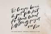 Procreate Brushes for Lettering, a Brush Add-On by Creator Goodies (Thumbnail 7 of 13)