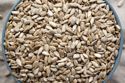 Raw Organic Sunflower Seed Kernels in a Blue Bowl, top view. Fla, a Background Photo by LiudmylaChuhunova