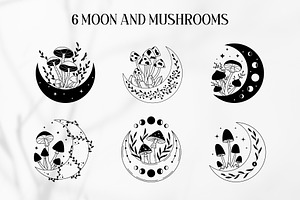 Celestial Mushrooms Collection