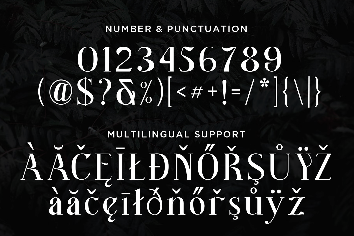 Better Authentic - Absonstype, a Serif Font by Absonstype (Photo 10 of 12)